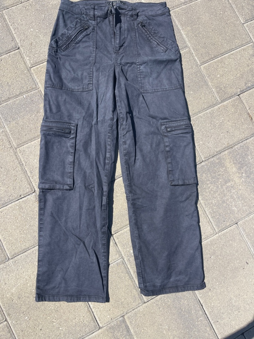 Sanctuary woman’s  Black Cargo Pants with Zippered Pockets